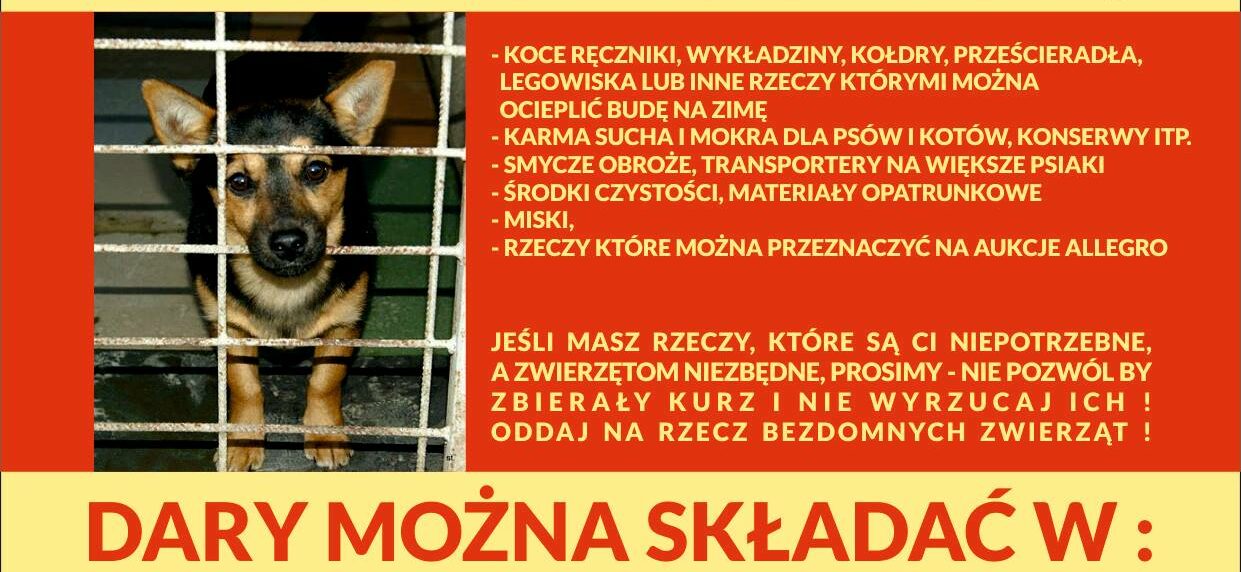 Zbiórka darów na rzecz Schroniska dla Bezdomnych Zwierząt w Krotoszynie