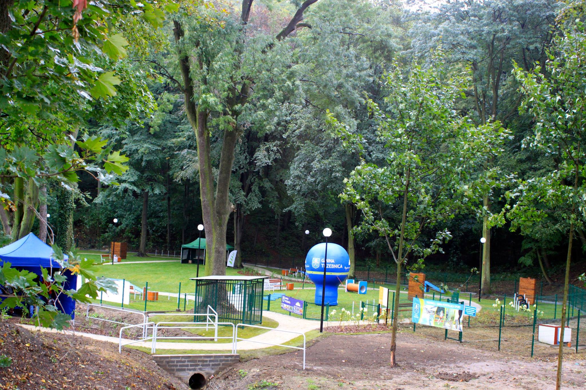 Widok na Trzebnicki Park dla Psów 4łapy.