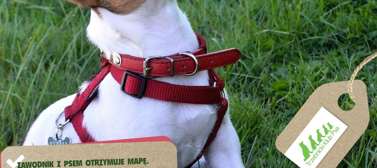I Trzebnickie Zawody w Dogtrekkingu